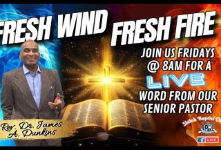 Fresh Wind Fresh Fire